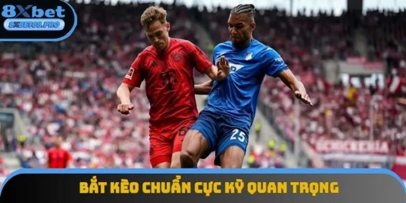 Bắt kèo chuẩn là một việc quan trọng vì ảnh hưởng đến tài chính của người chơi Bắt kèo chuẩn là một việc quan trọng vì ảnh hưởng đến tài chính của người chơi