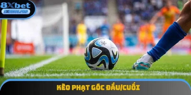 Cược góc đầu/cuối có cách chơi cực kỳ dễ hiểu Cược góc đầu/cuối có cách chơi cực kỳ dễ hiểu