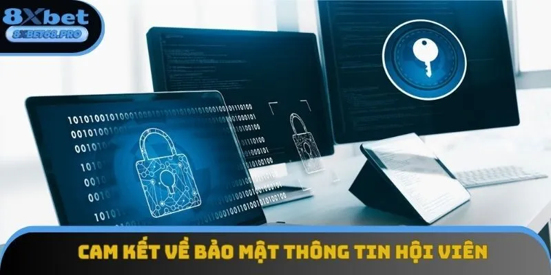 Cam kết của điểm cược bảo mật thông tin Cam kết của điểm cược bảo mật thông tin