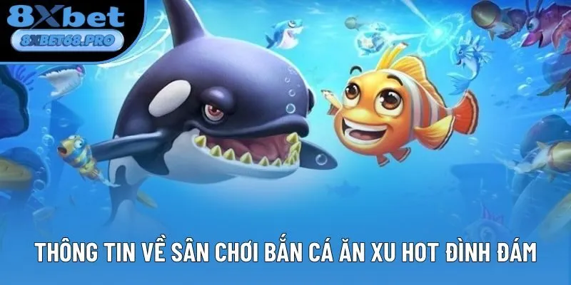 Thông tin về sân chơi bắn cá ăn xu hot đình đám Thông tin về sân chơi bắn cá ăn xu hot đình đám